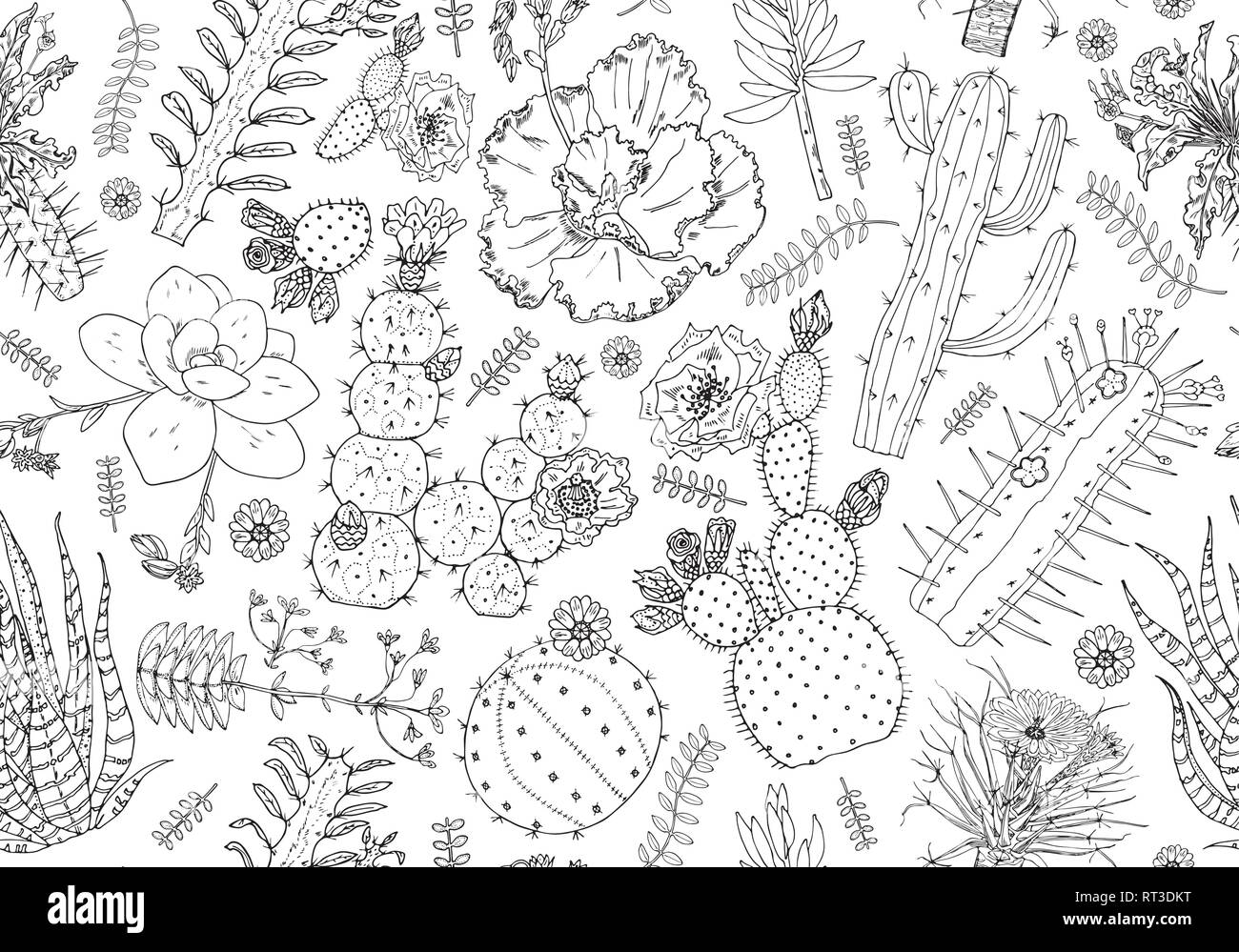 Patrón sin fisuras de cactus y flores. Elementos lindo acogedor. Colección de suculentas y plantas tropicales en doodle estilo vintage. Grabado dibujado a mano Ilustración del Vector