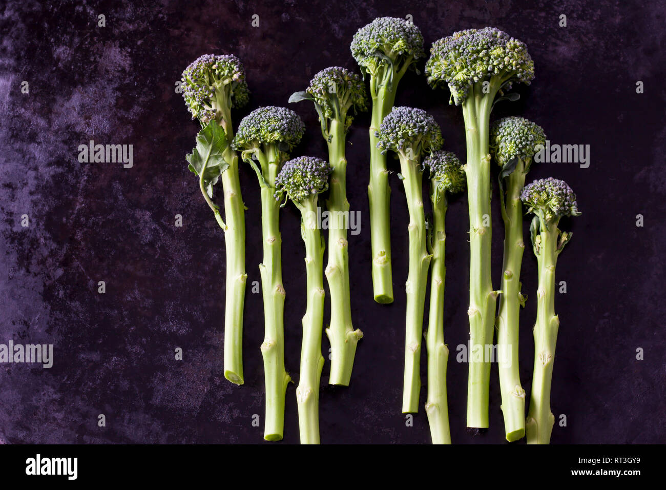 Sprouting Broccoli Foto de stock
