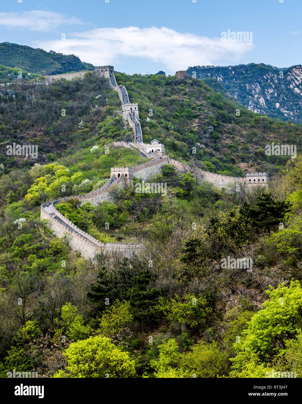 Los turistas caminata a lo largo de la Gran Muralla de China en Mutianyu. Varias torres de vigilancia puede ser visto como la pared sube por la montaña a través de un espeso bosque. Foto de stock