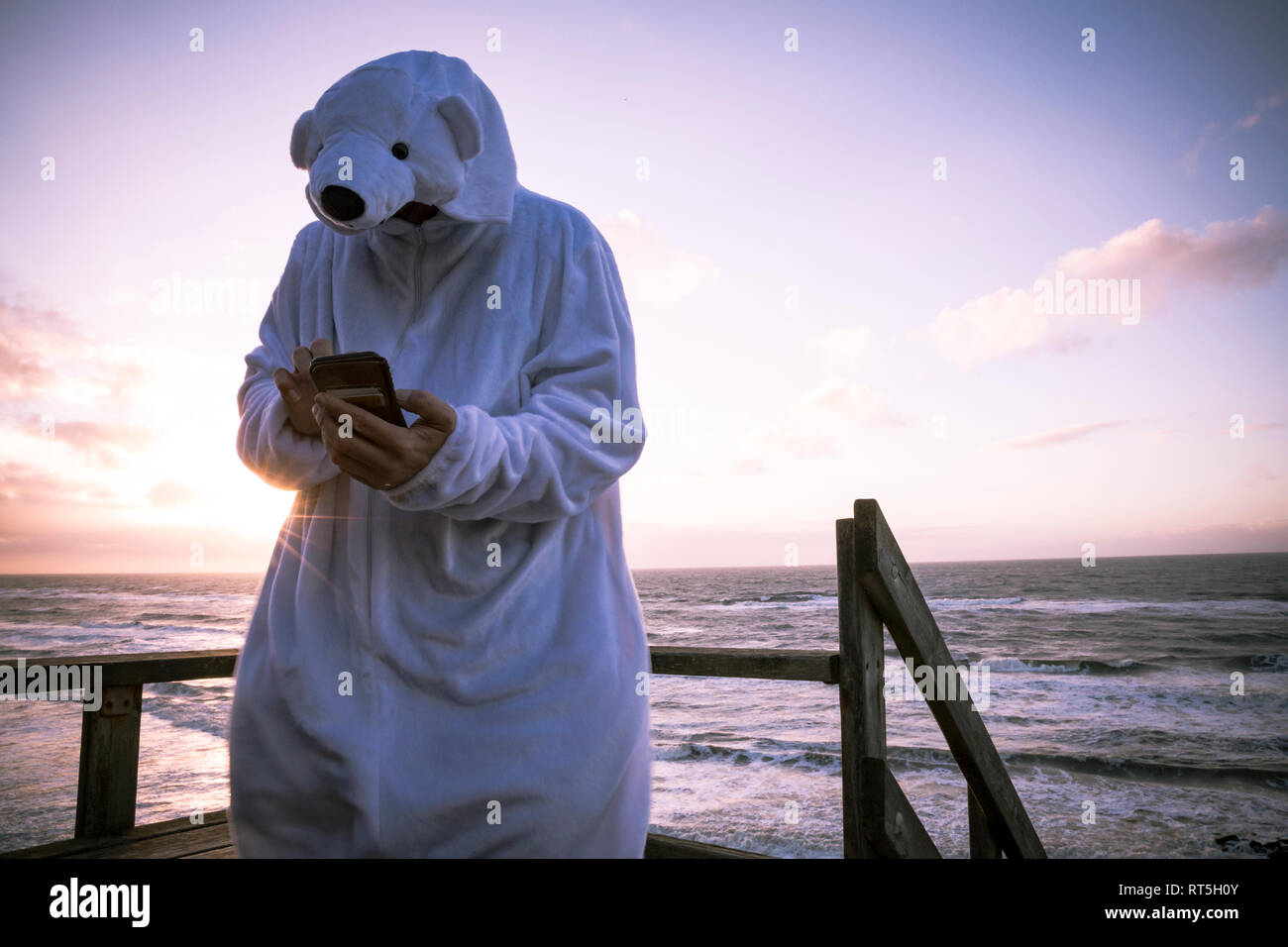 Dinamarca, Nordjuetland, hombre vestido con traje de oso de hielo en la playa, utilizando el smartphone Foto de stock