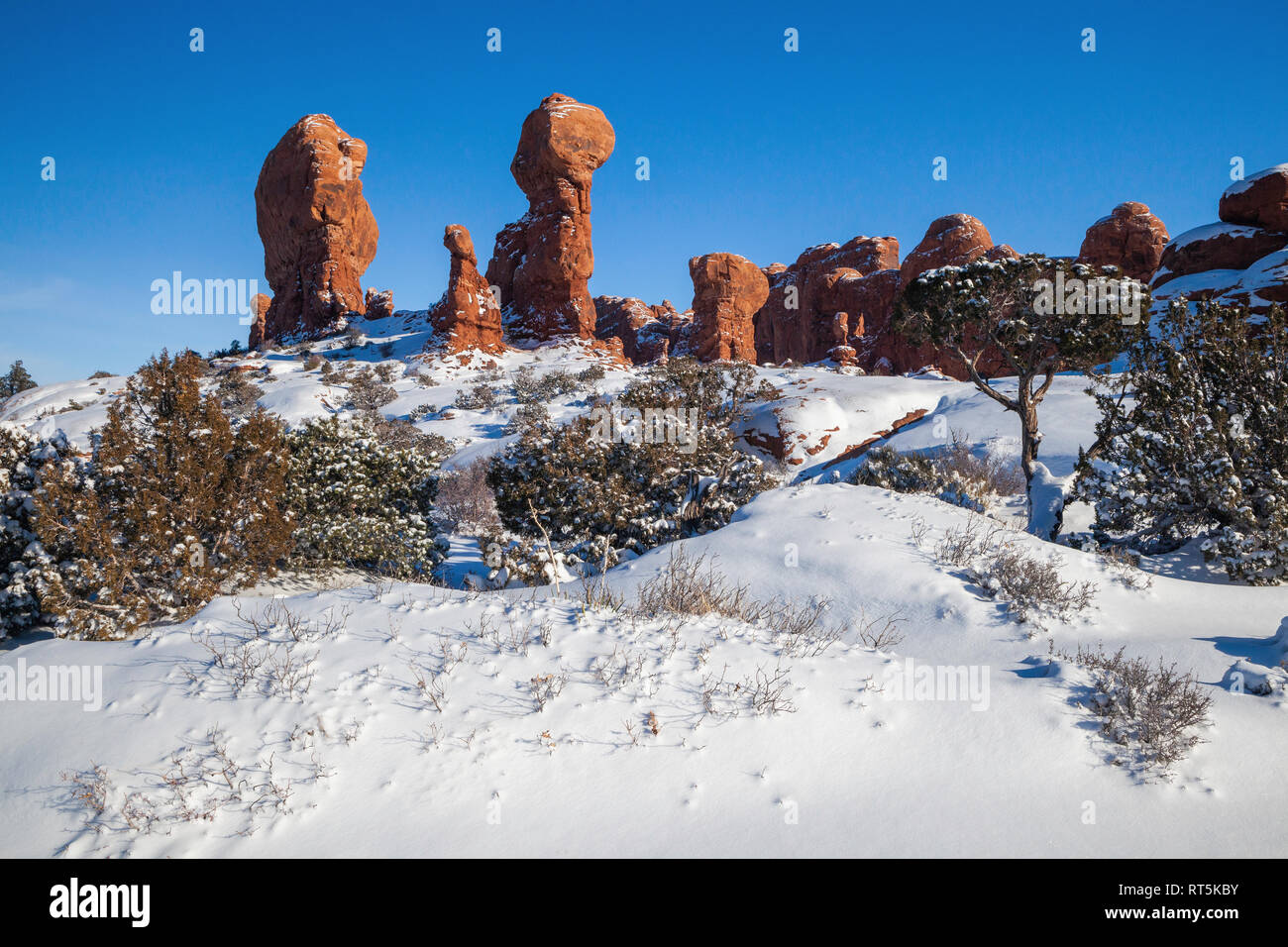 Nieve en el Jardín del Edén, el Parque Nacional de Arches, en Utah Foto de stock