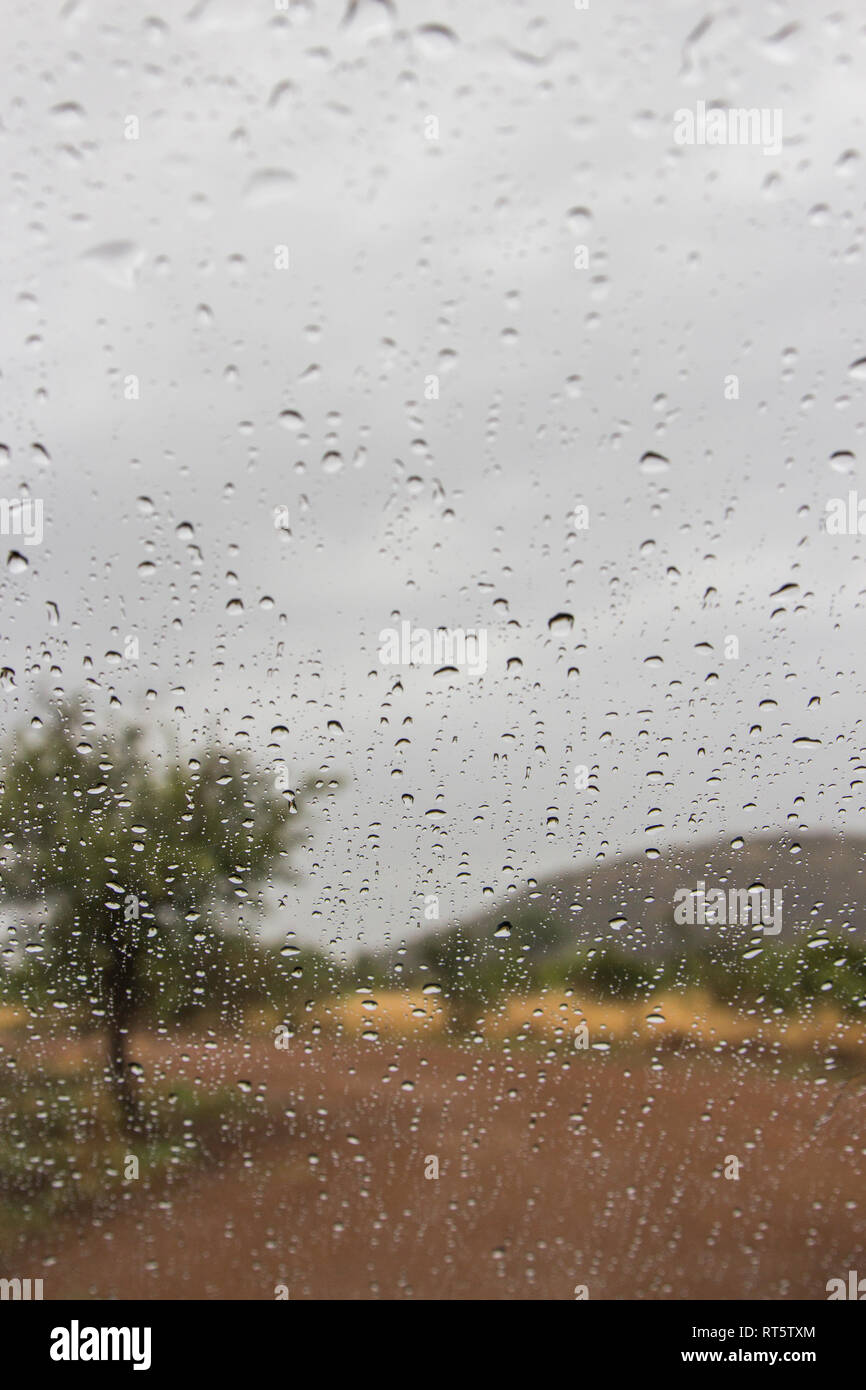 Las gotas de lluvia en una ventana mirando hacia la sabana arbolada de África del Sur. Foto de stock