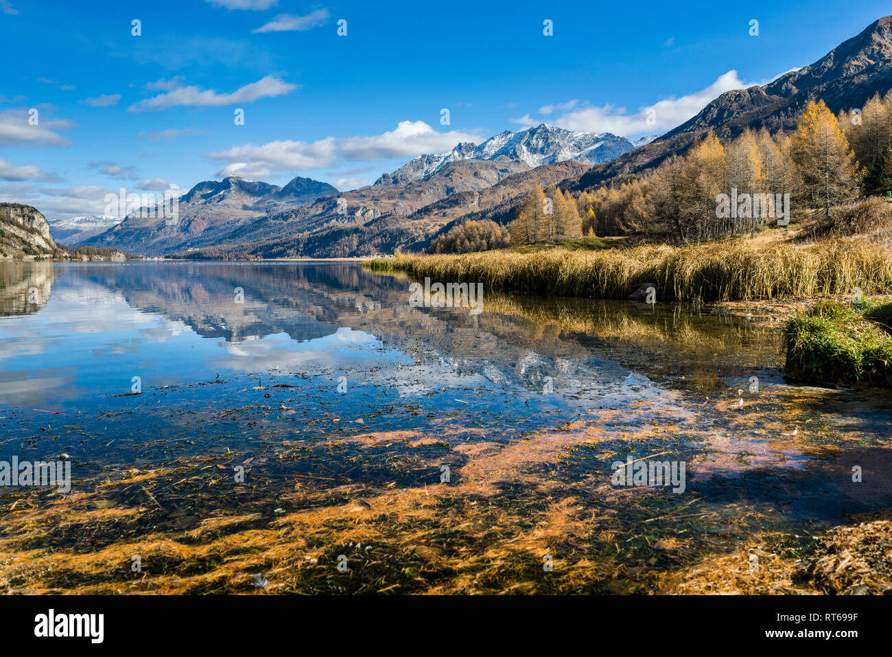 Suiza, Grisones, Piz Corvatsch, Lago Sils Foto de stock