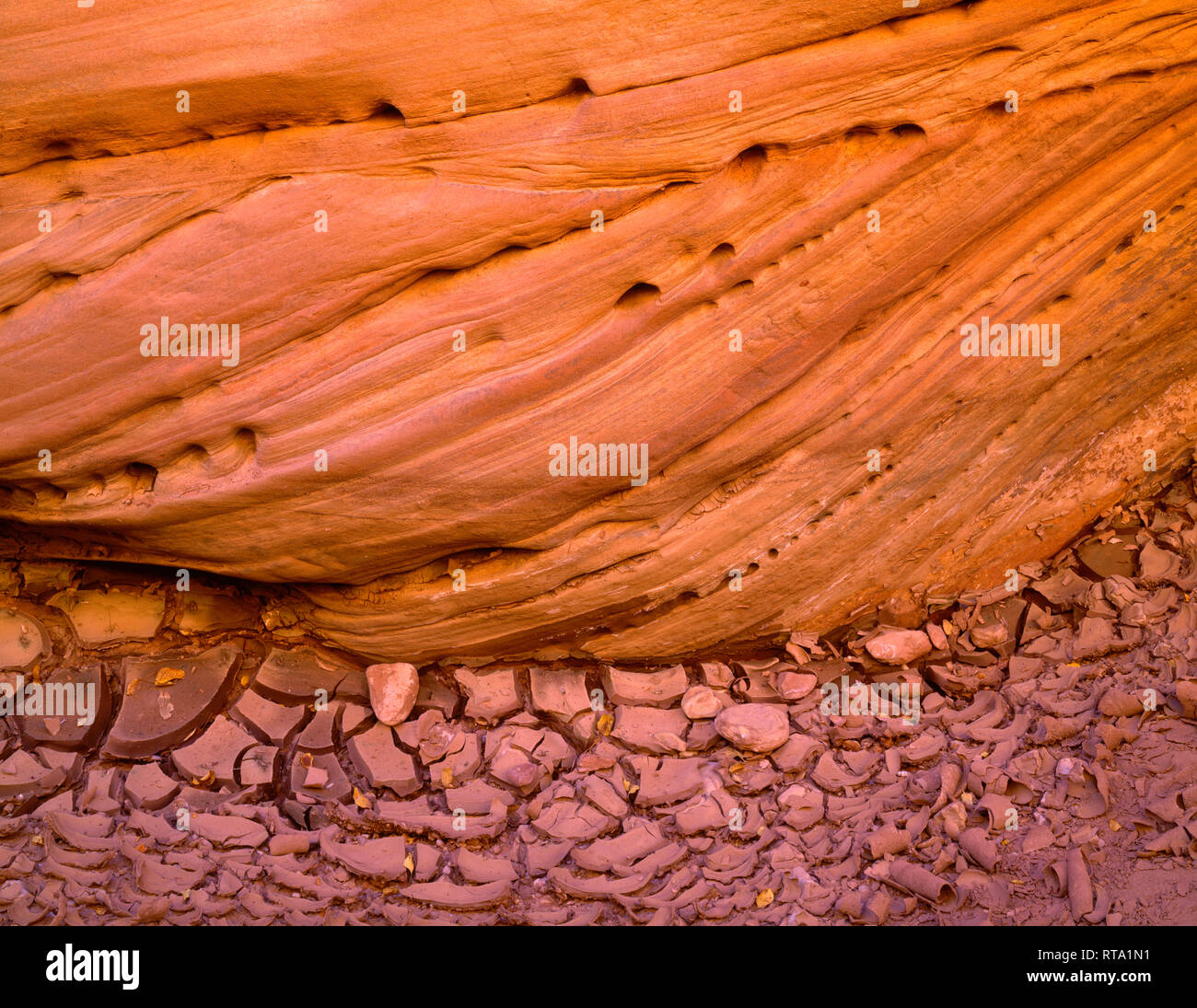 Ee.Uu., la frontera entre Arizona y Utah, Vermilion Acantilados de arenisca de Monumento Nacional, muestra detalles de la erosión por encima de secado, barro agrietado en Buckskin Gulch. Foto de stock
