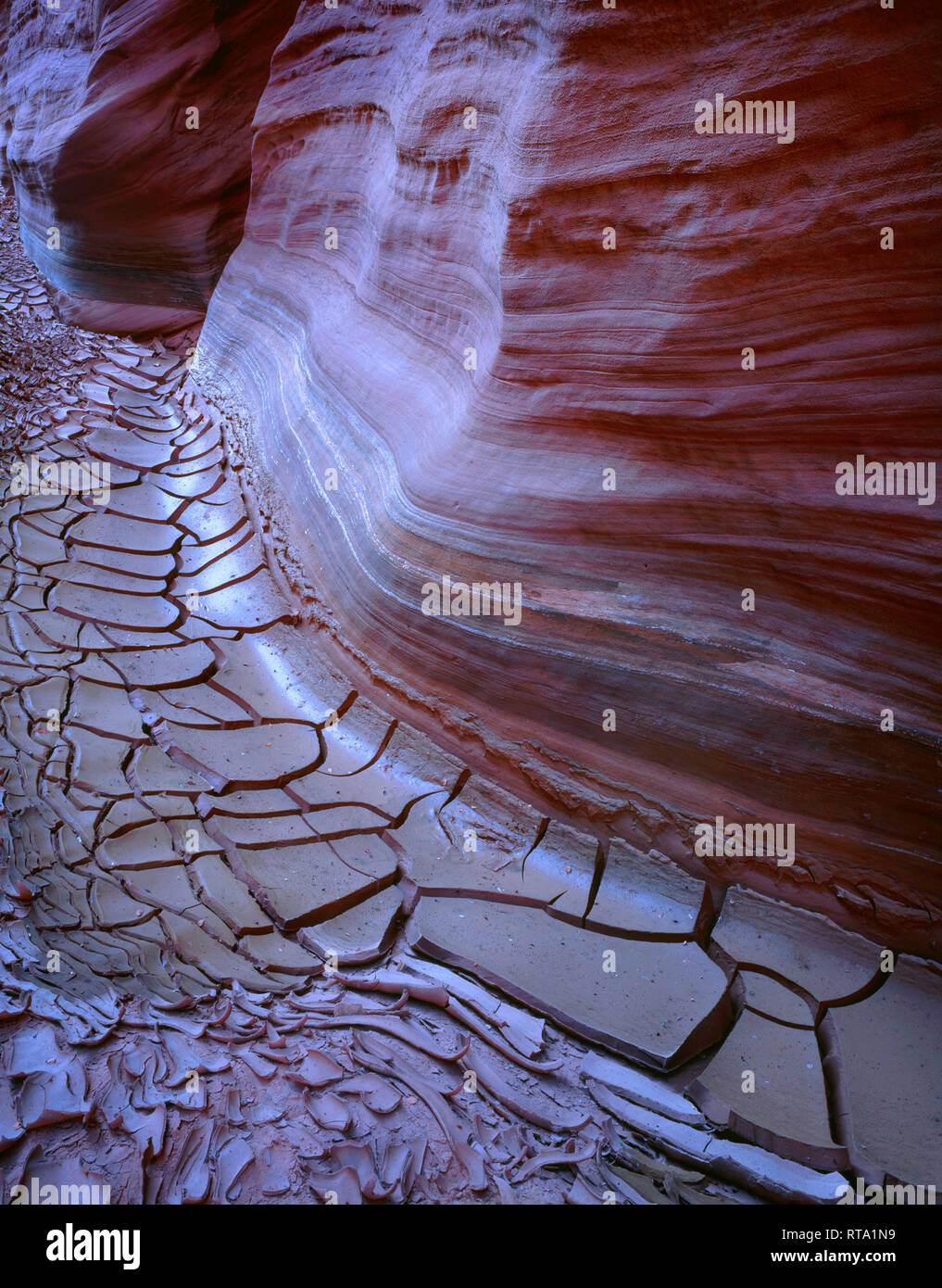 Ee.Uu., la frontera entre Arizona y Utah, Vermilion Acantilados de arenisca de Monumento Nacional, muestra detalles de la erosión por encima de secado, barro agrietado en Buckskin Gulch. Foto de stock