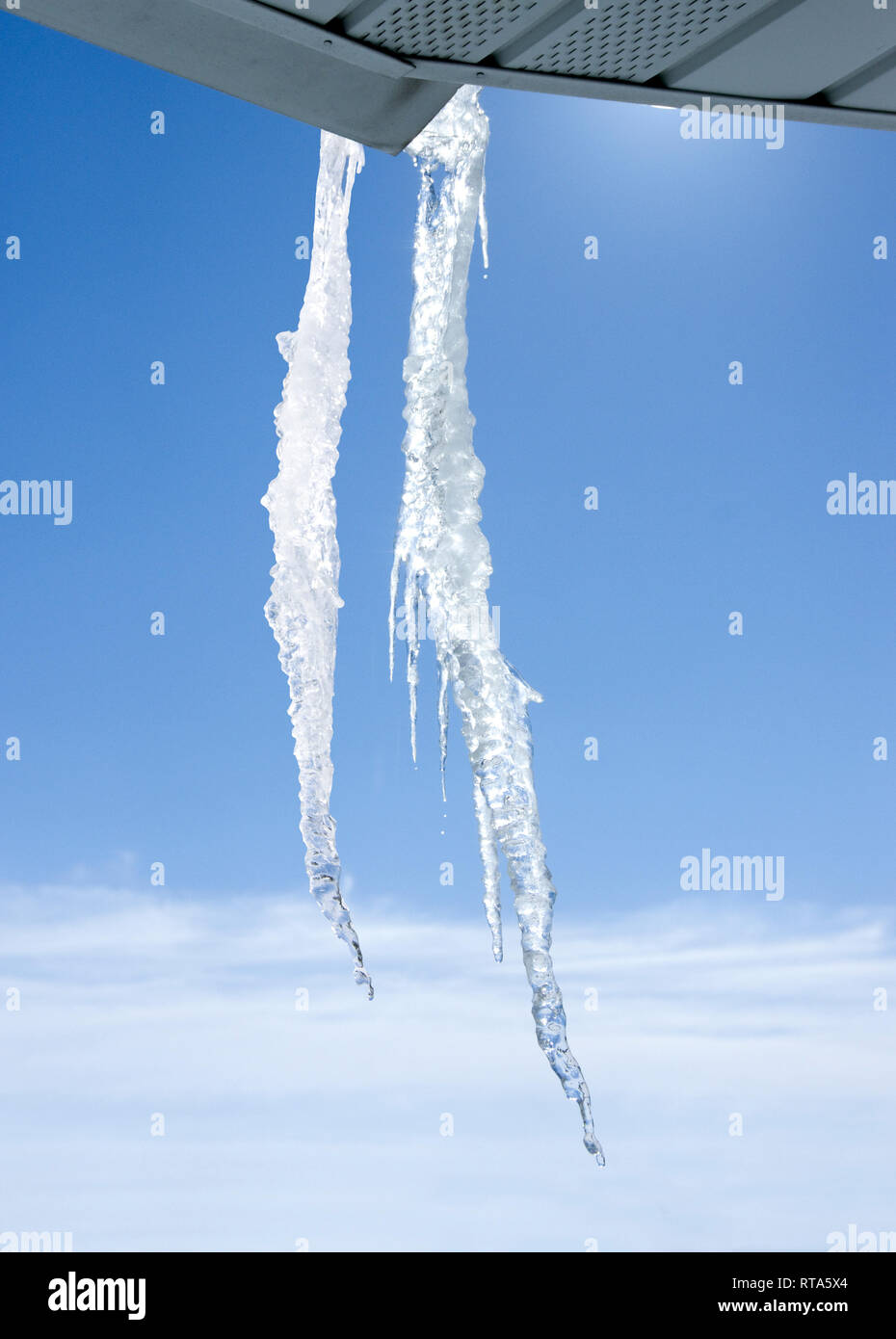 Dos jagged carámbanos formados en un viento frío y soleado día de invierno. Foto de stock