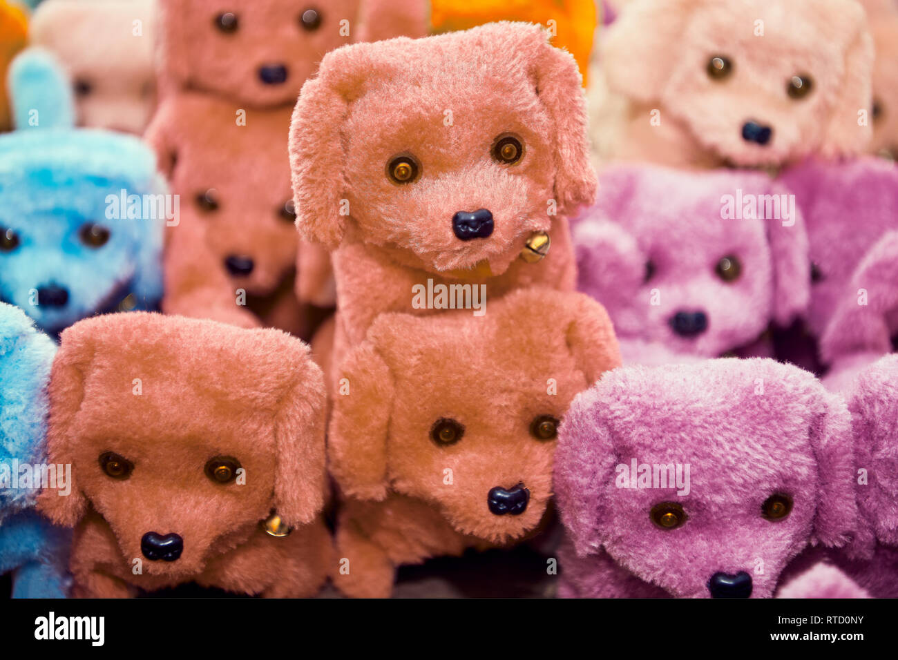 Grupo de pequeños juguetes de peluche asiáticos lindo perros en diferentes colores, con cascabeles alrededor del cuello, de pie sobre un estante en una tienda de juguetes, en Manila, Filipinas Foto de stock