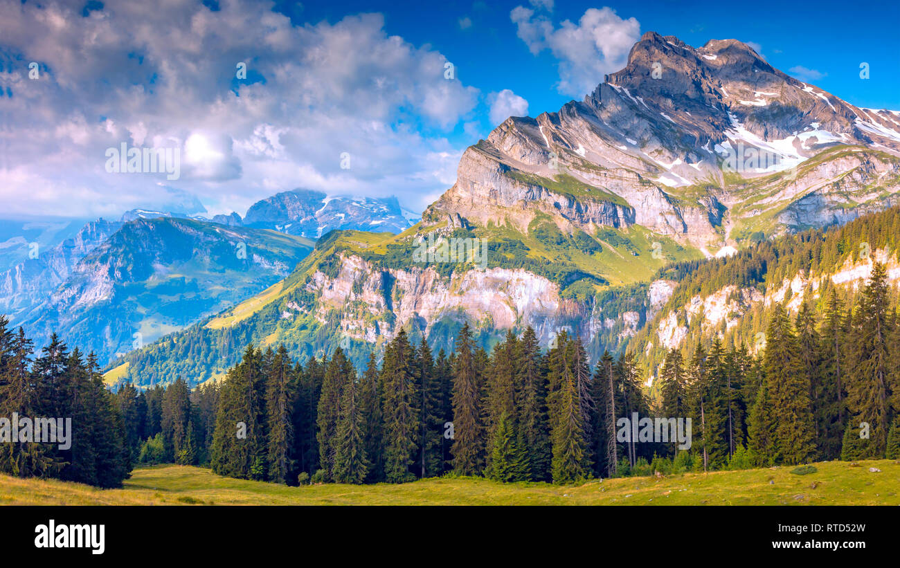 El Ortstock en el fondo las montañas de Linthal izquierda, en primer plano, pinos y praderas verdes, Alpes Suizos Foto de stock