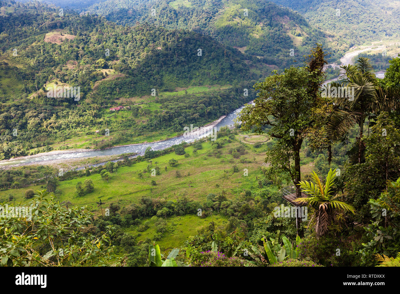 Los paisajes de la región andina de Chocó en el noroeste de Ecuador Foto de stock