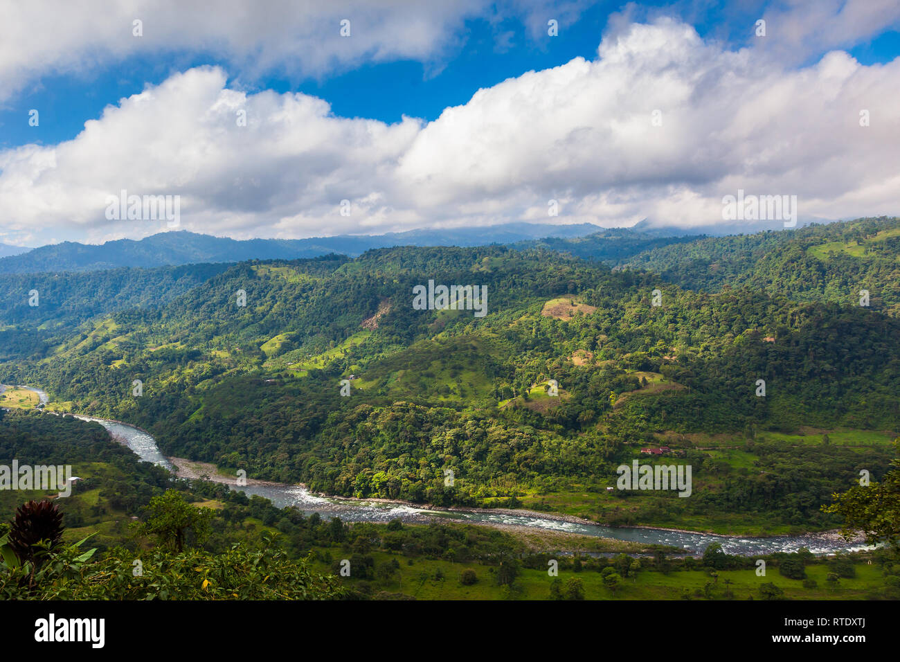Los paisajes de la región andina de Chocó en el noroeste de Ecuador Foto de stock