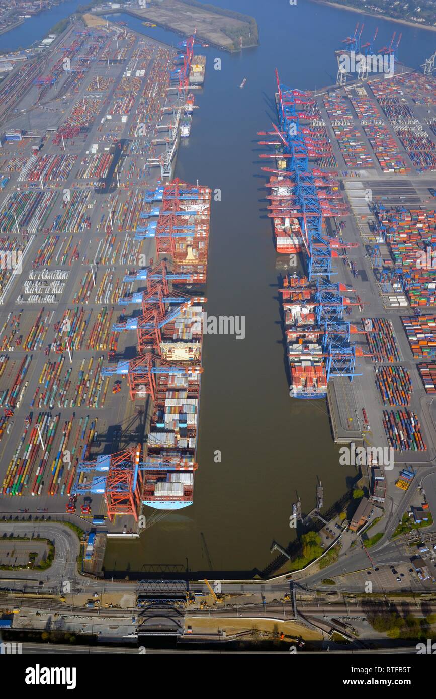 Vista aérea, Eurogate y Burchardkai en Waltershofer Hafen puerto, puerto de contenedores, Hamburgo, Alemania. Foto de stock