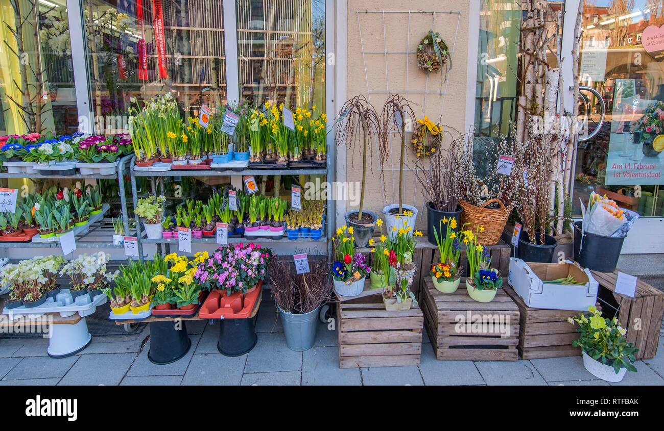Venta de flores de primavera, Schwabing, Munich, la Alta Baviera, Baviera, Alemania Foto de stock