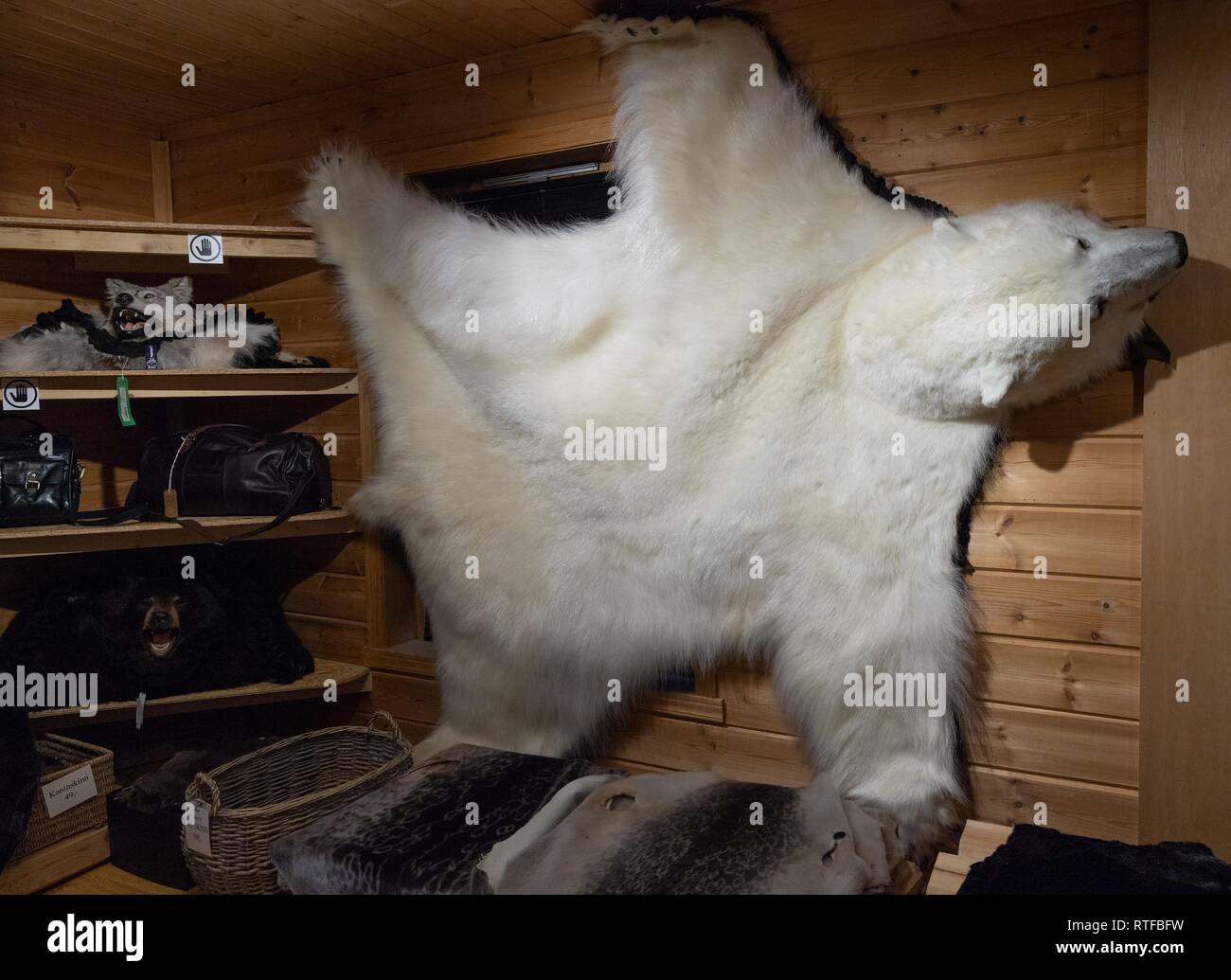 Pieles de oso polar, tienda, Longyearbyen Spitsbergen, Svalbard, Noruega Foto de stock