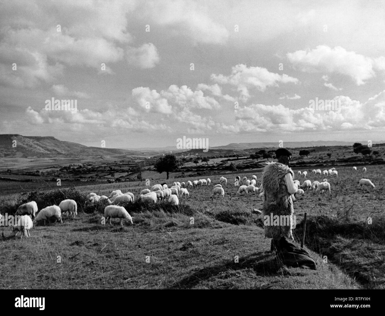 El campo de Cerdeña de Oristano, 1952 Foto de stock