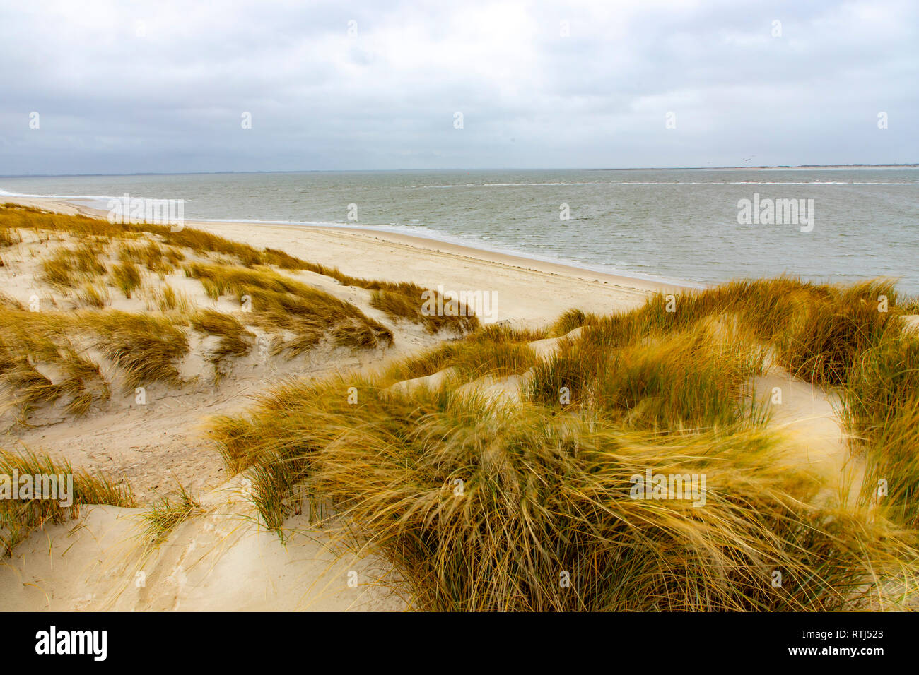Del Mar del Norte Isla Langeoog, Frisia Oriental , Baja Sajonia, paisaje dunar, Alemania Foto de stock