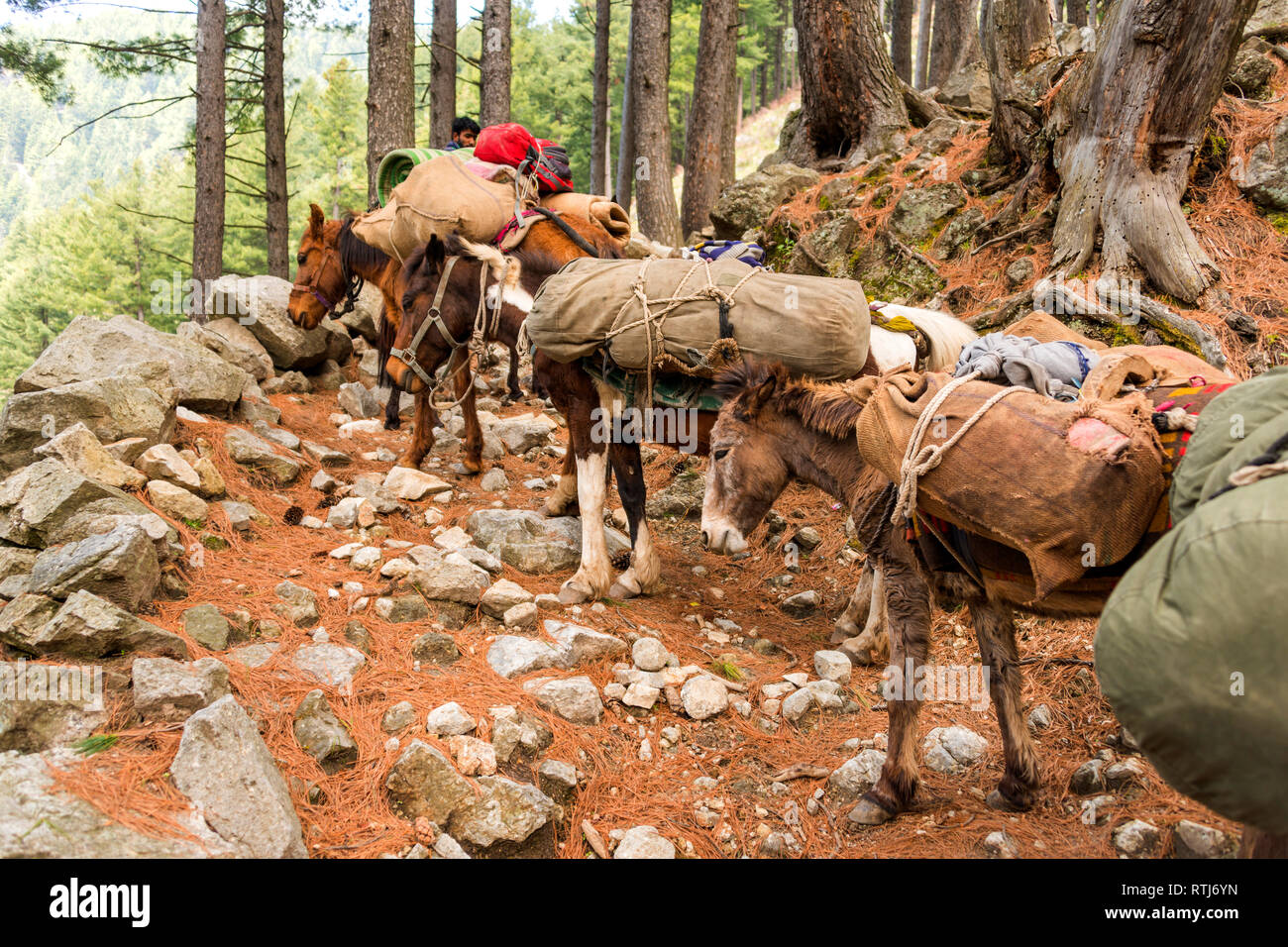 Jammu and kashmir fotografías e imágenes de alta resolución Alamy