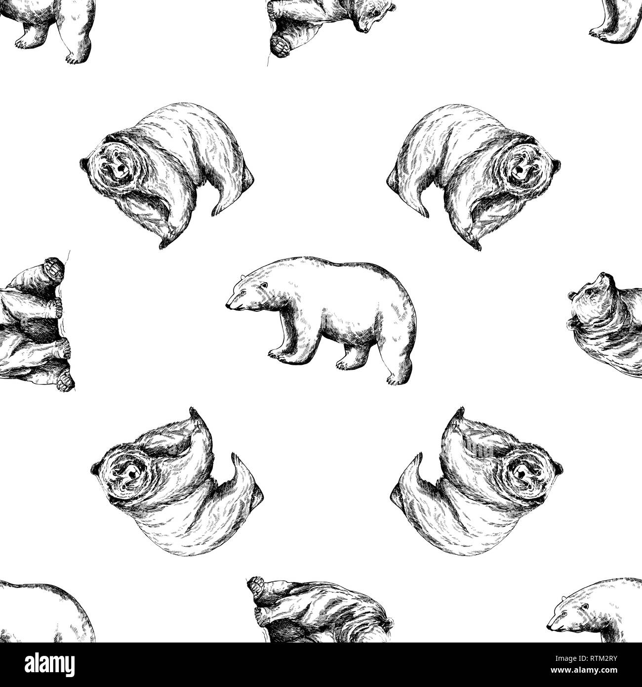 Trama perfecta de estilo boceto dibujados a mano osos aislado sobre fondo blanco. Ilustración vectorial. Ilustración del Vector