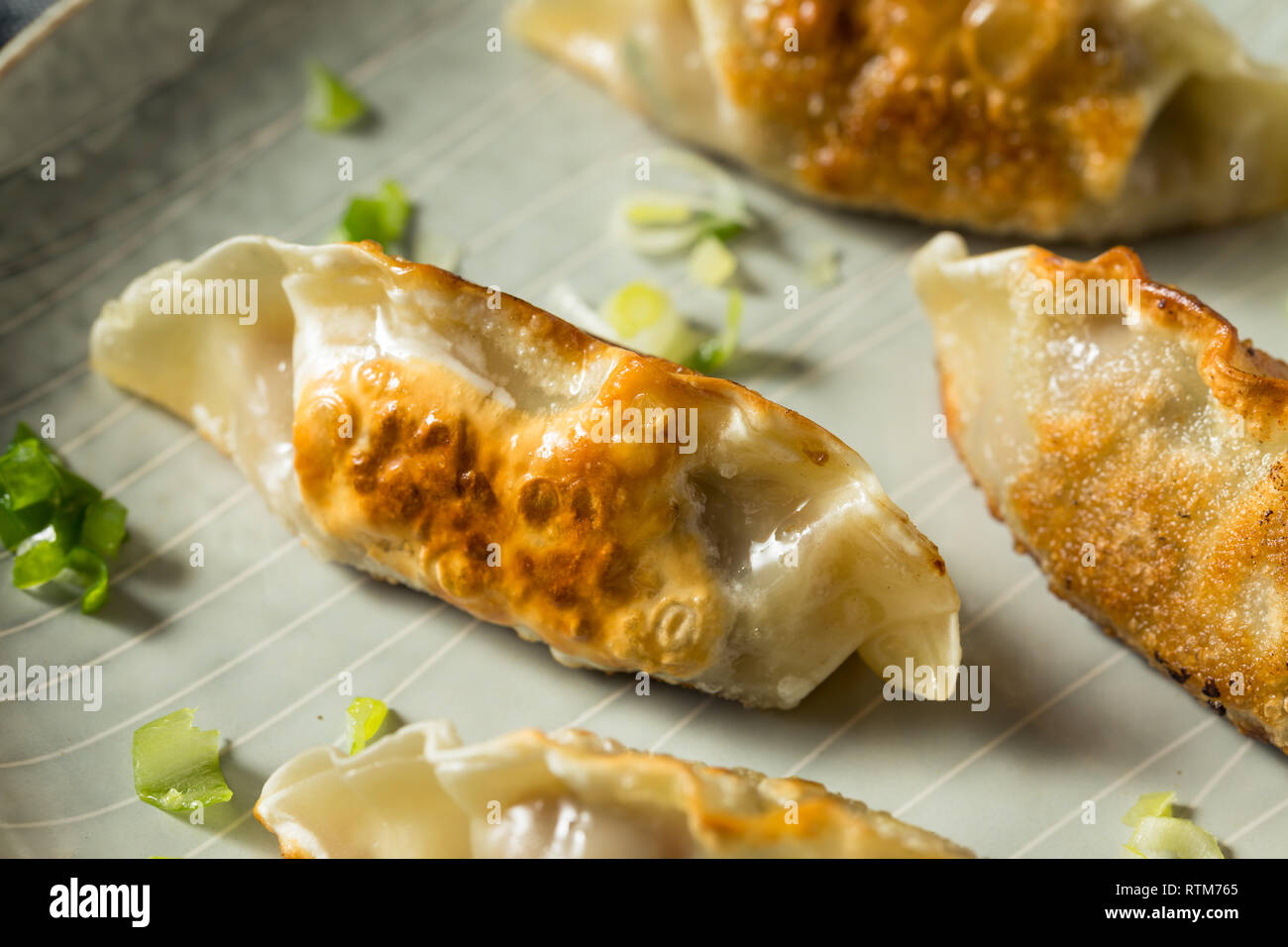 Mandu coreanos caseros listos para comer Dumplings de cerdo Foto de stock