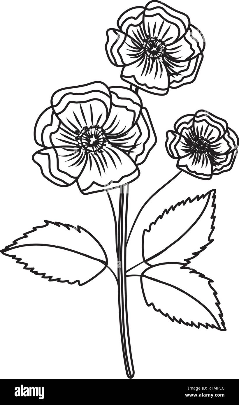 Flor con hojas de dibujo Imagen Vector de stock - Alamy Flor con hojas de dibujo Imagen Vector de stock - Alamy