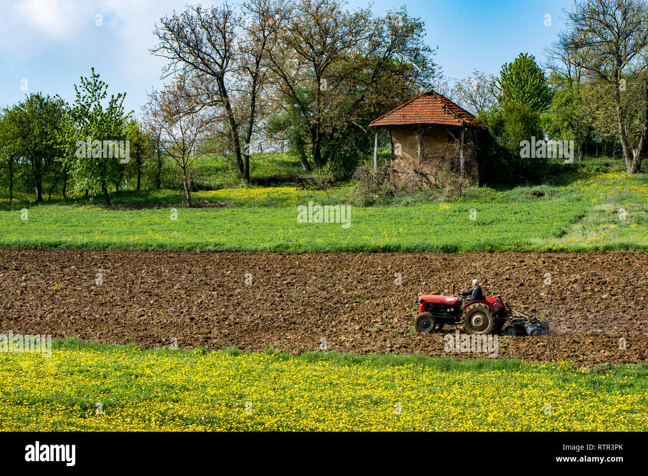 Antigua casa y se derrumbó en la pradera, junto a la tierra cultivable, Serbia Central cerca Osanica, Sige y Krepoljin Foto de stock