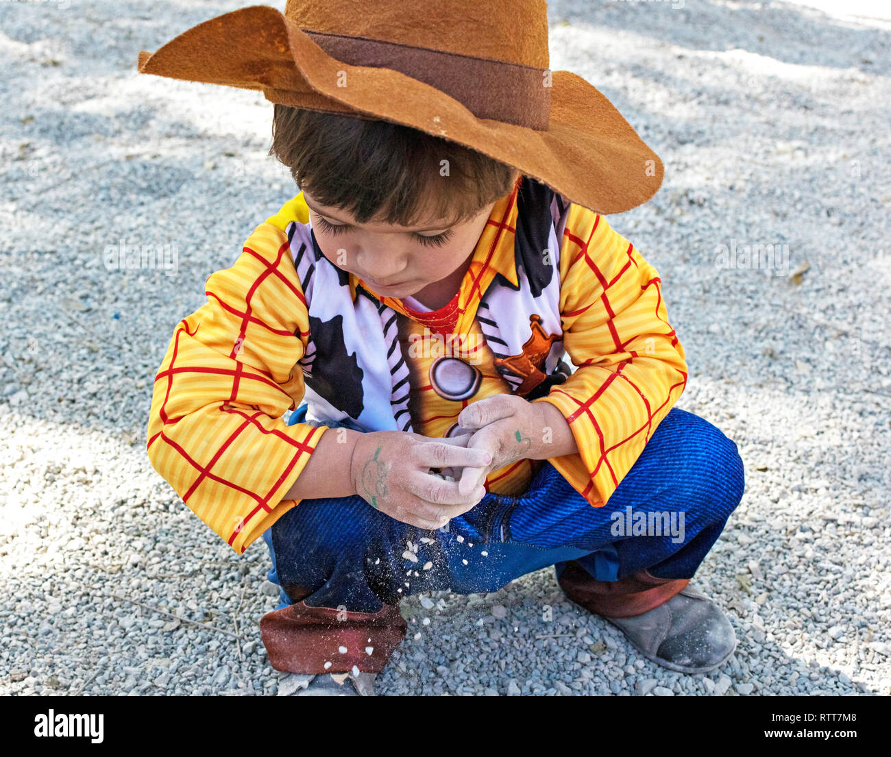 Disfraz Woody Niño Hermoso Toy Story