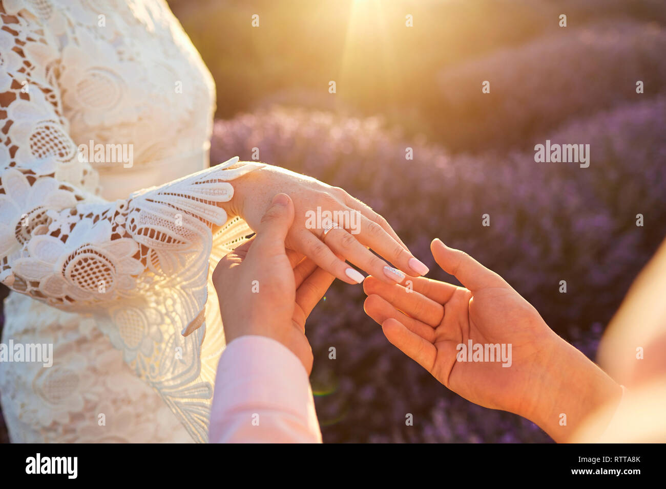 Propuesta de matrimonio en un campo de lavanda. Foto de stock