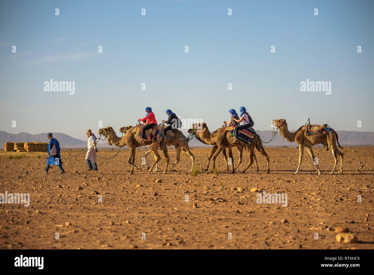 Caravana de camellos con turistas, atravesando el desierto del Sahara Foto de stock