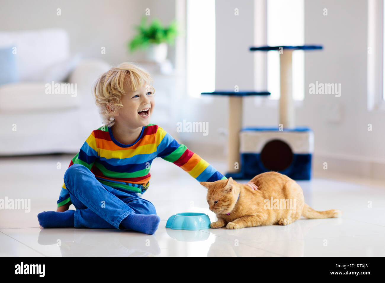 Niño jugando con el gato en la casa. Los niños y las mascotas. Niñito alimentar y acariciar a color jengibre lindo gato. Gatos y scratcher árbol en el salón interior. Foto de stock