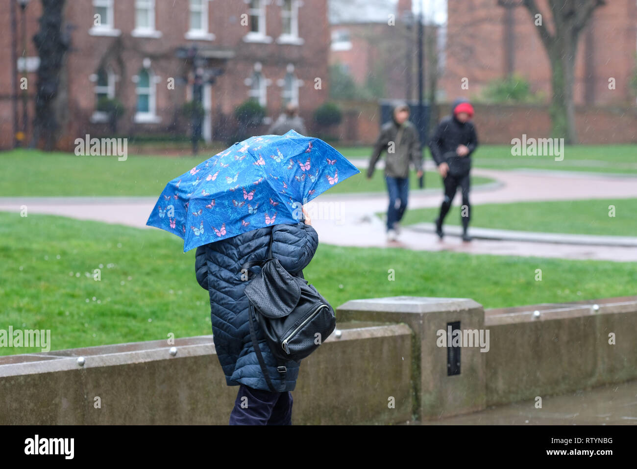 Hereford, Reino Unido. 3 de marzo de 2019. El clima del Reino Unido - fuertes lluvias y vientos fuertes para hacer un día de paraguas en Hereford como Freya tormenta se aproxima al Reino Unido desde el Sur - foto Steven Mayo / Alamy Live News Foto de stock