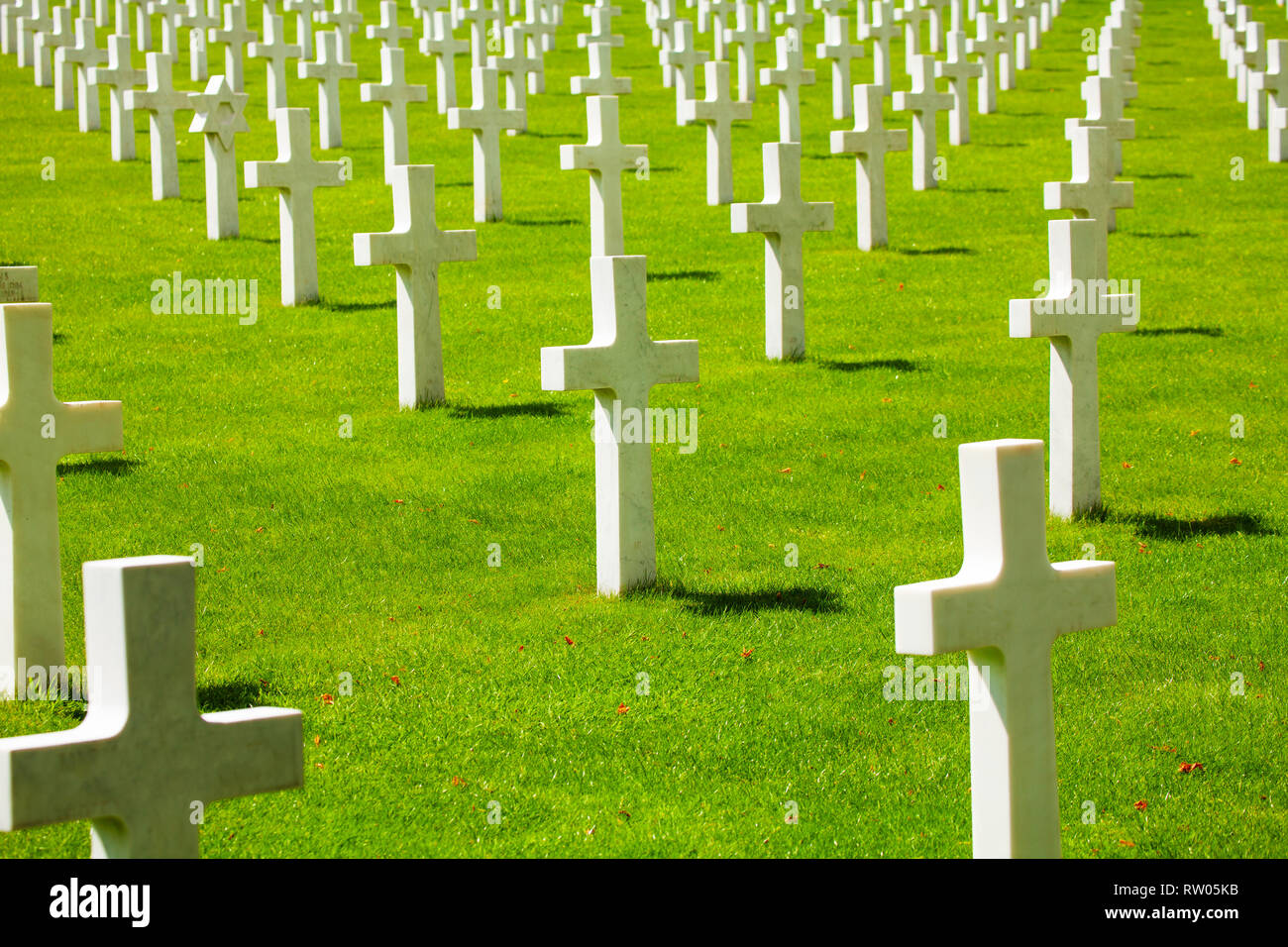 Muchas filas de cruces en el cementerio con ningún nombre sobre la hierba verde Foto de stock