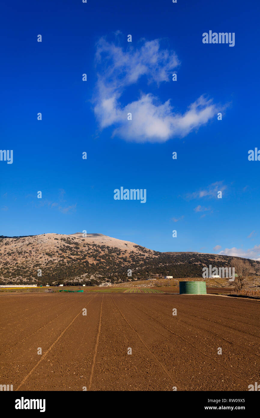 Campos Labrados de ricos suelos cerca de Zafarraya en el municipio de Alhama de Granada, provincia de Granada, España Foto de stock