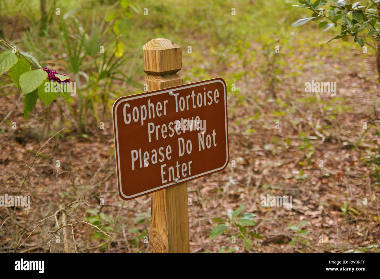 Letrero metálico sobre un poste de madera para una reserva de animales. "Preservar la tortuga Gopher. Por favor no ingrese.' de Kissimmee, Florida, EE.UU. Foto de stock
