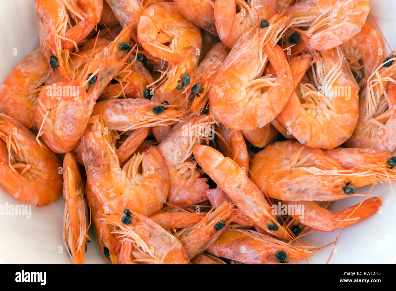 Rojo grande camarón cocinado para la cena mediterránea Foto de stock