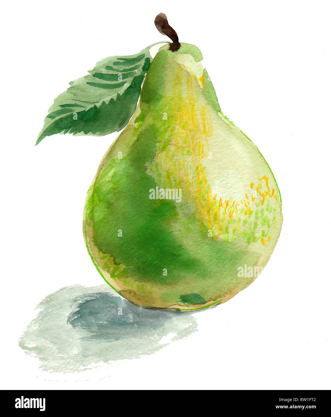 Pintura de frutas Imágenes recortadas de stock - Alamy