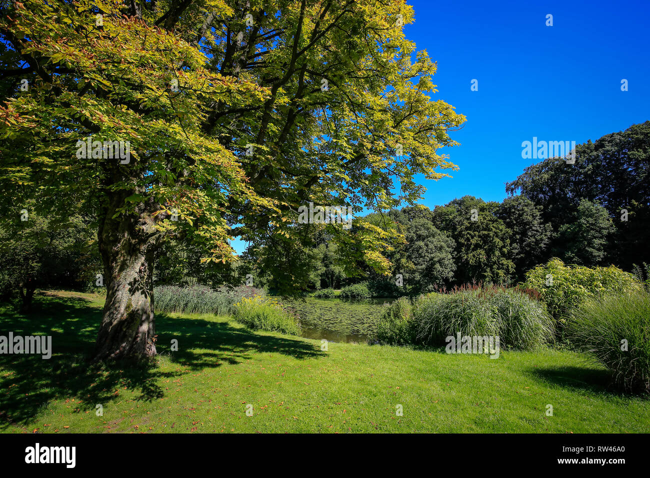 Essen, Renania del Norte-Westfalia, área de Ruhr, Alemania, aquí el Schlosspark Borbeck, fotografiado en ocasión de la Essen 2017 Capital Verde de Europ Foto de stock