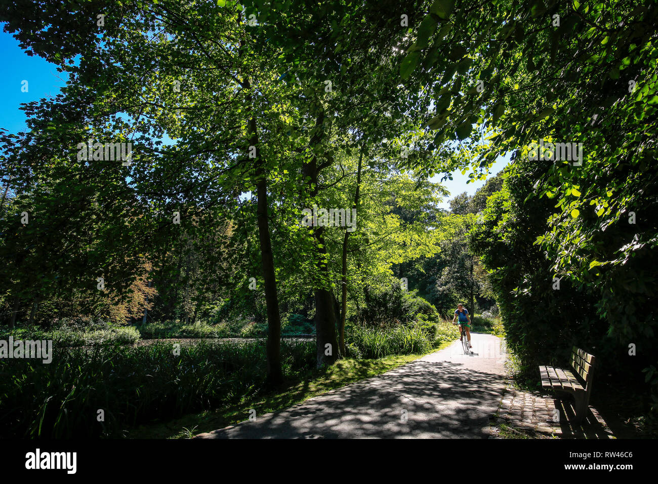 Essen, Renania del Norte-Westfalia, área de Ruhr, Alemania, aquí el Schlosspark Borbeck, fotografiado en ocasión de la Essen 2017 Capital Verde de Europ Foto de stock