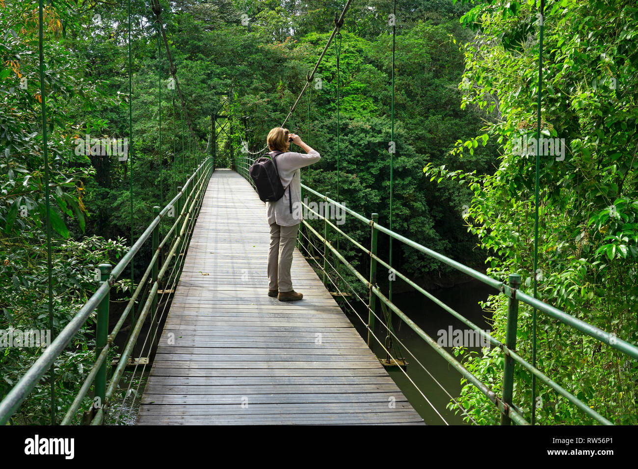 Turista sobre puente colgante en la seva Estación Biológica,Bosque Tropical,Sarapiquí, en Costa Rica, Centroamérica Foto de stock