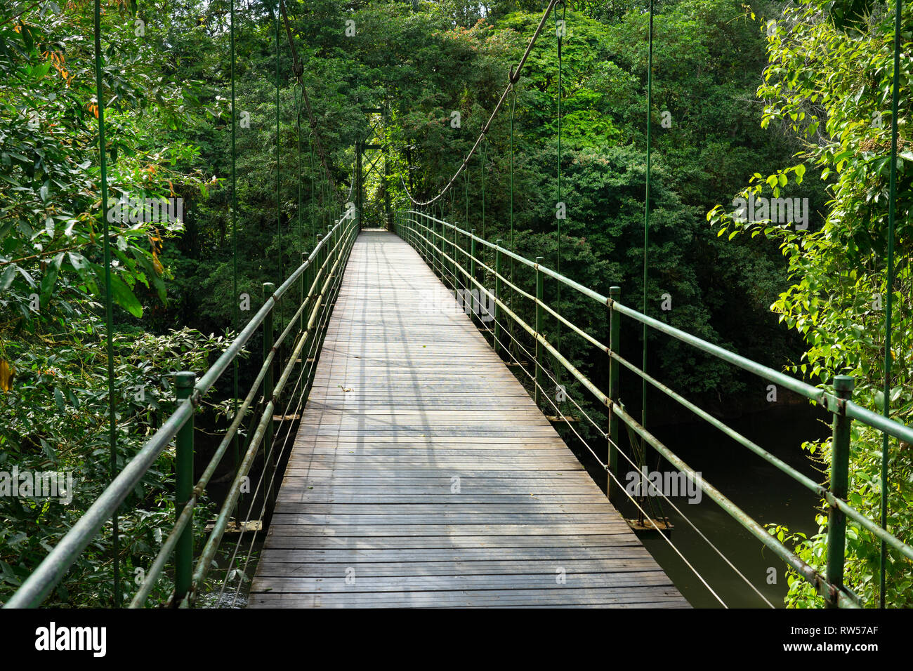Puente colgante en la seva Estación Biológica,Bosque Tropical,Sarapiquí, en Costa Rica, Centroamérica Foto de stock
