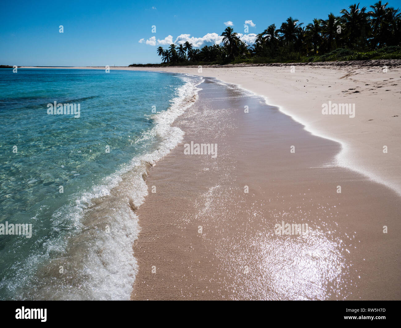 Las olas en la orilla de la playa tropical con palmeras, Twin Cove Beach, Costa Atlántica, Eleuthera Island, Las Bahamas, El Caribe. Foto de stock
