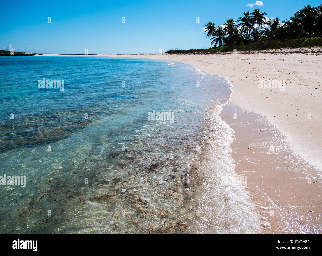 Las olas en la orilla de la playa tropical con palmeras, Twin Cove Beach, Costa Atlántica, Eleuthera Island, Las Bahamas, El Caribe. Foto de stock