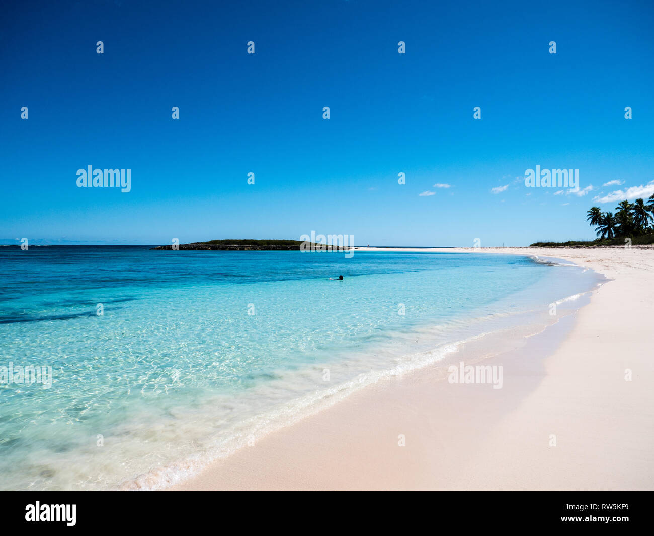 En la Isla de Coral Tropical Playa calas gemelas, Gobernadores Harbour Eleuthera Island, Las Bahamas, El Caribe. Foto de stock