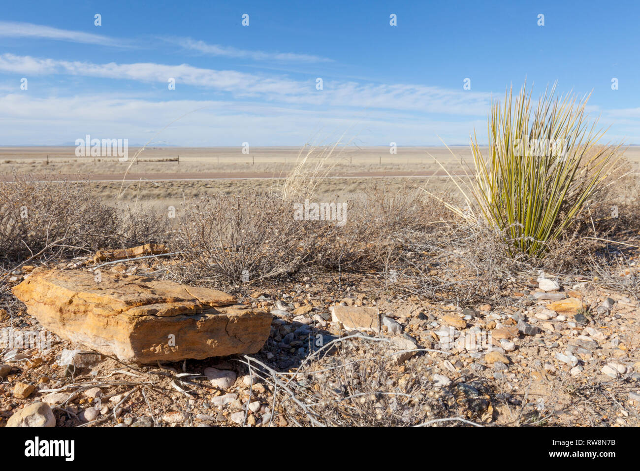 Vista del desierto a lo largo de la Hwy 60 en la región oriental de NM Foto de stock