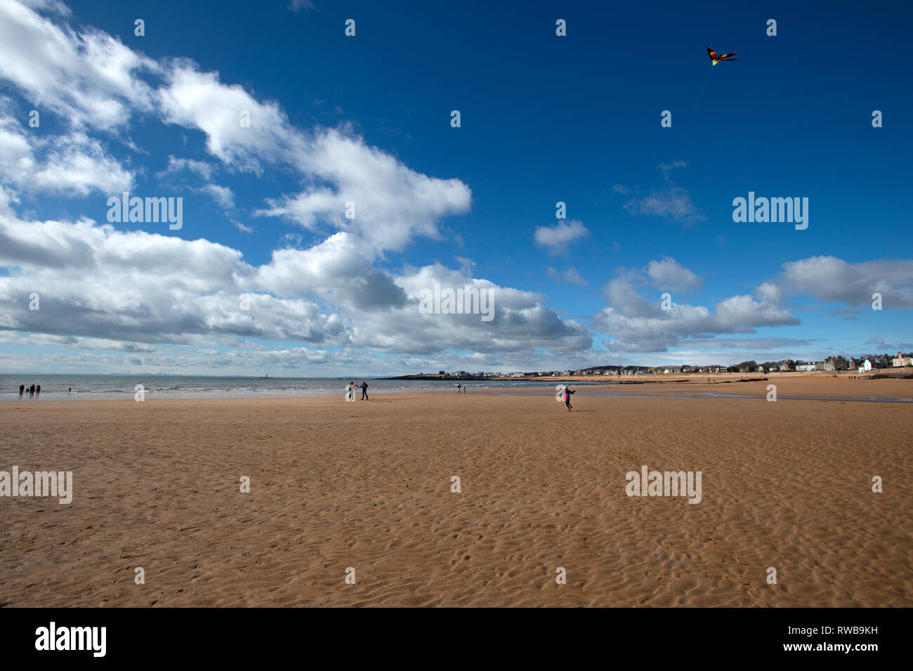 Las familias divirtiéndose cometas en la vasta extensión de Elie playa con la marea fuera Elie Fife Reino Unido Escocia Foto de stock