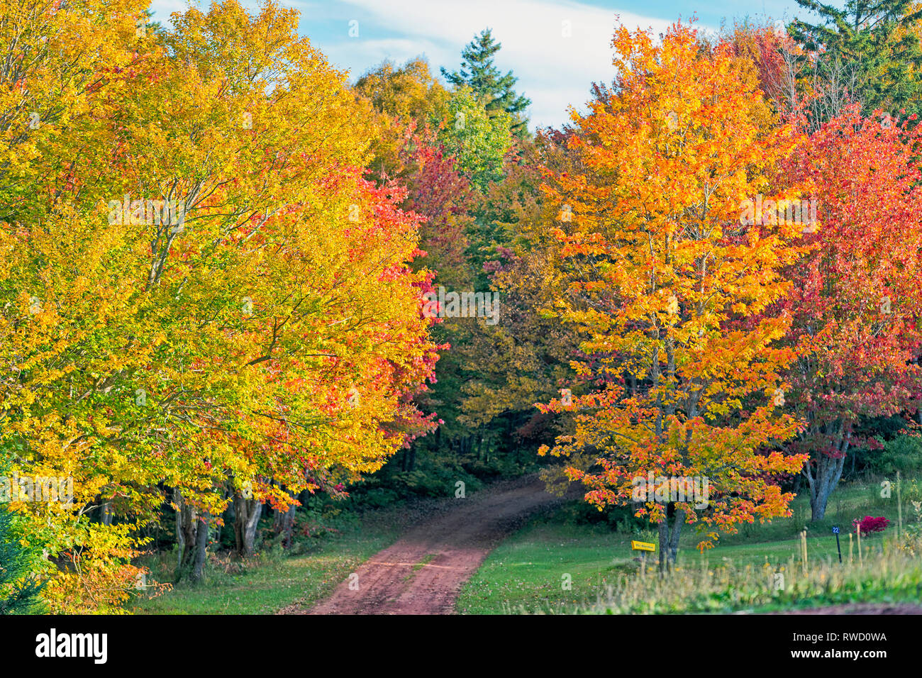 Carril del país rodeado de follaje de otoño, Stanchel, Prince Edward Island, Canadá Foto de stock