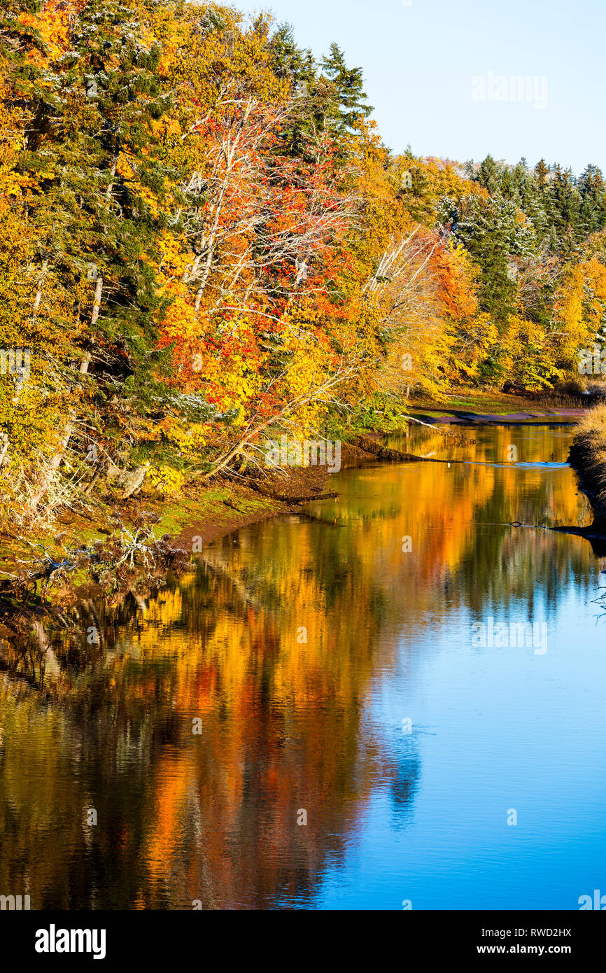 El follaje de otoño, el Río Bonshaw, Prince Edward Island, Canadá Foto de stock