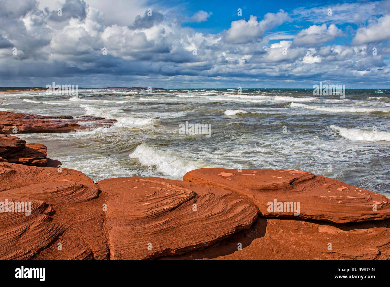 Acantilados de arenisca roja, Cavendish, Prince Edward Island National Park, Prince Edward Island, Canadá Foto de stock