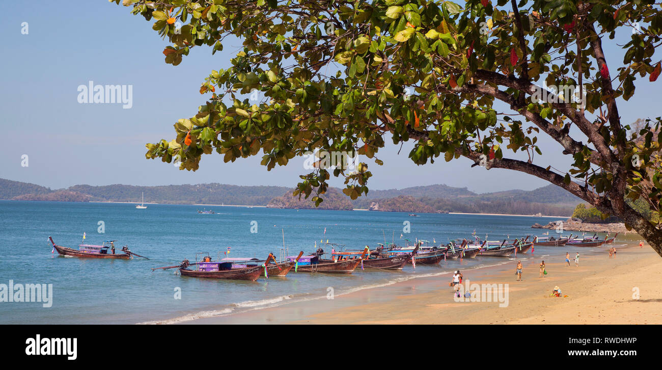 Botes de cola larga isla, Aonang, Krabi, Tailandia, sol de la mañana, los barcos esperando para contratar a las islas Foto de stock