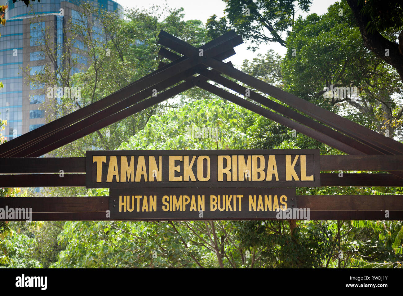 El Taman Eko Rimba KL, Kuala Lumpar eco park en el corazón de la ciudad, Bukit Nanas, la pasarela del dosel de árboles Foto de stock