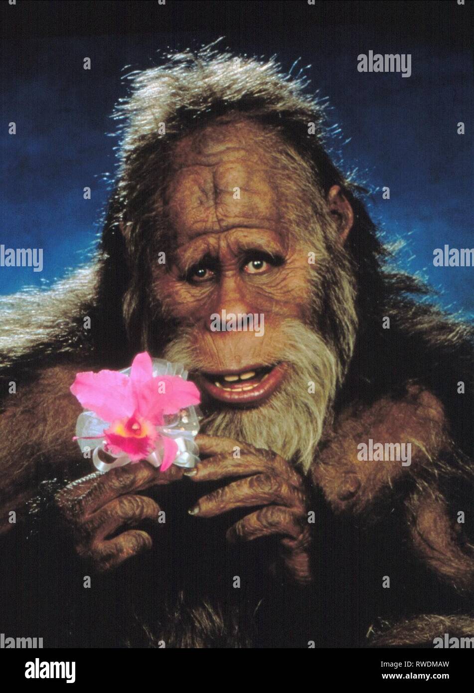 Harry and the hendersons fotografías e imágenes de alta resolución Alamy