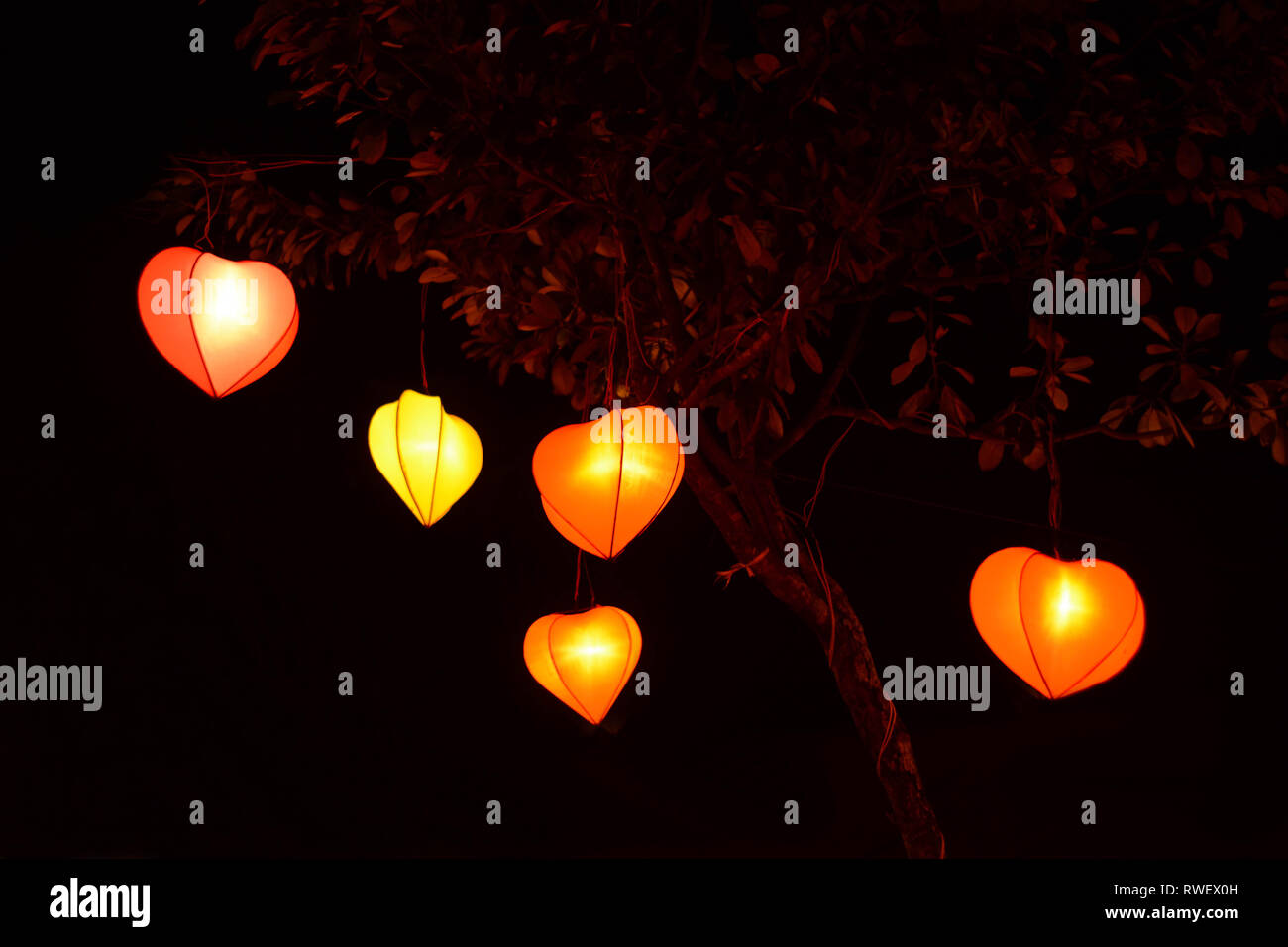 Lampion linterna con forma de corazón en los árboles del parque por la noche tiempo aisladas en negro Foto de stock